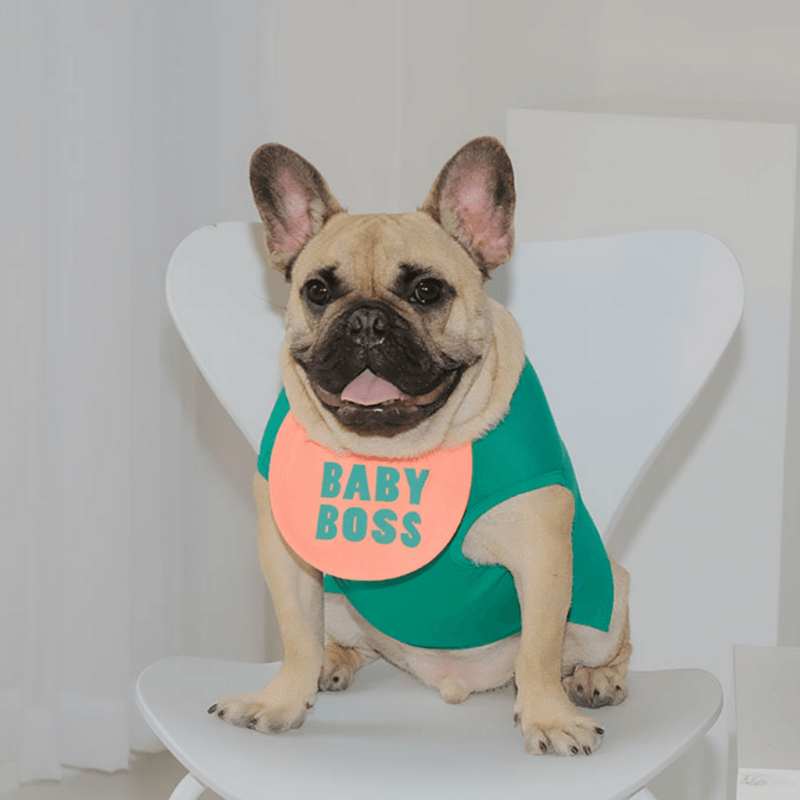 Baby Boss Bib Bandana Hey Jerry