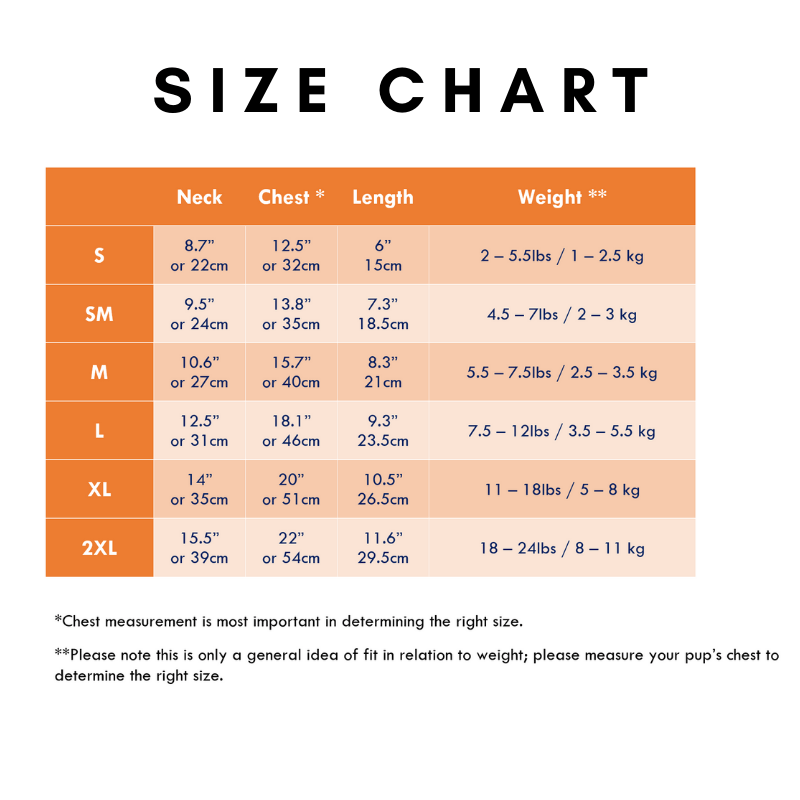 Pumpkin Crop Top - Green Clothing Dentists Appointment