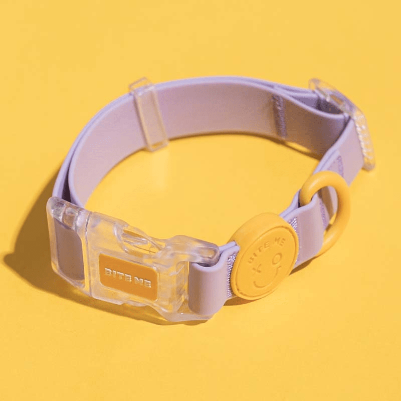 Macaron Waterproof Collar and Leash Set (4 Colors) Collar Bite Me