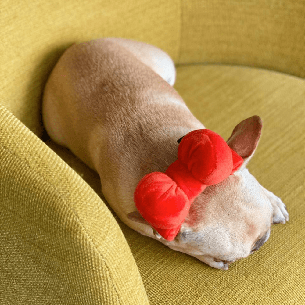 Ribbon Party Hat and Toy (2 in 1!) Toy Bite Me