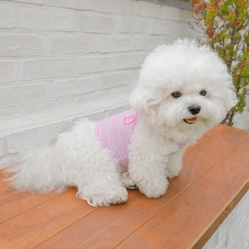 Cool Slush Crop Tank Top - Pink Berry (Pink Blue) Clothing Hey Jerry