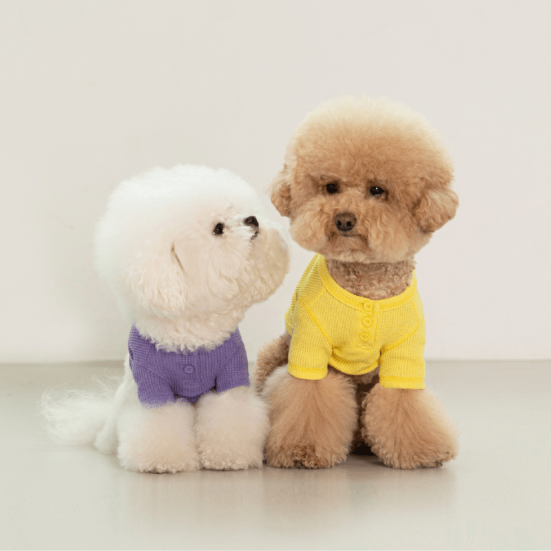 Waffle Crop Tee - Purple Clothing Dentists Appointment