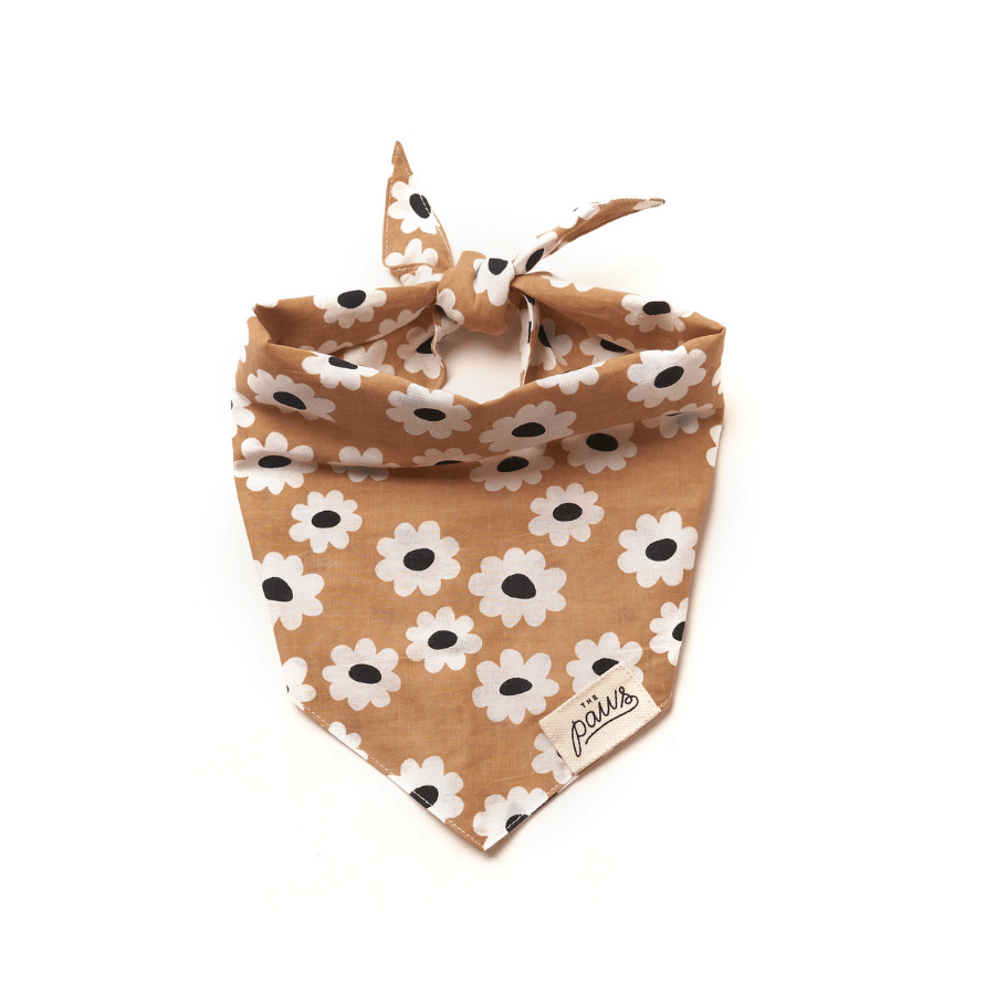 Sierra Daisy Dog Bandana Bandana The Paws 