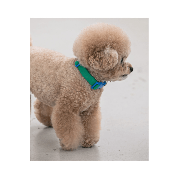 Brown french poodle mini toy on Craiyon