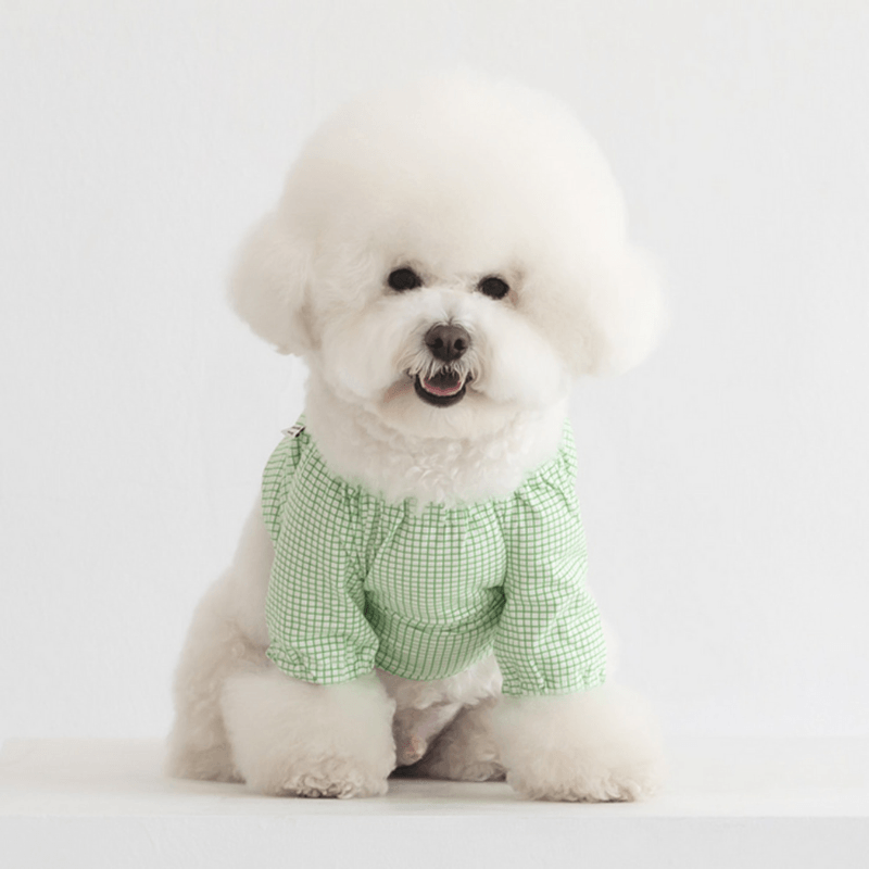 Pumpkin Crop Top - Green Clothing Dentists Appointment 