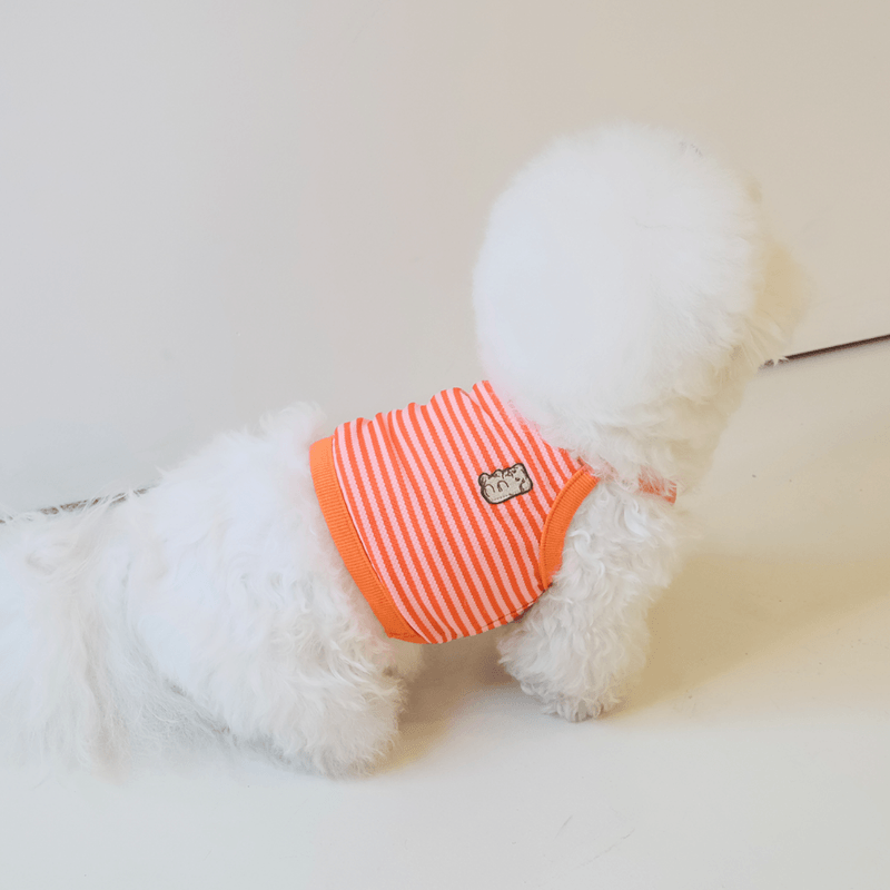 Cool Slush Crop Tank Top - Orange Cream (Orange) Clothing Hey Jerry