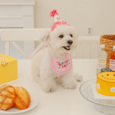 Dog clearance birthday bib