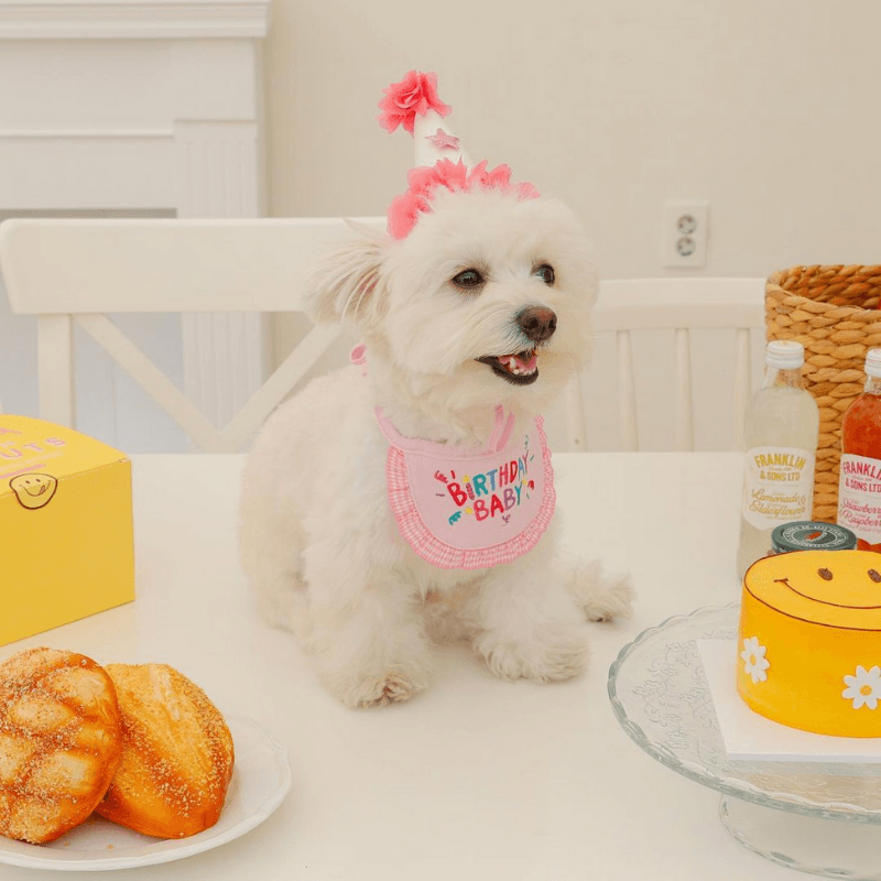 Kmart online baby bib