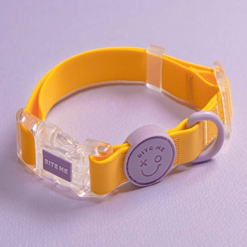 Macaron Waterproof Collar and Leash Set (4 Colors) Collar Bite Me