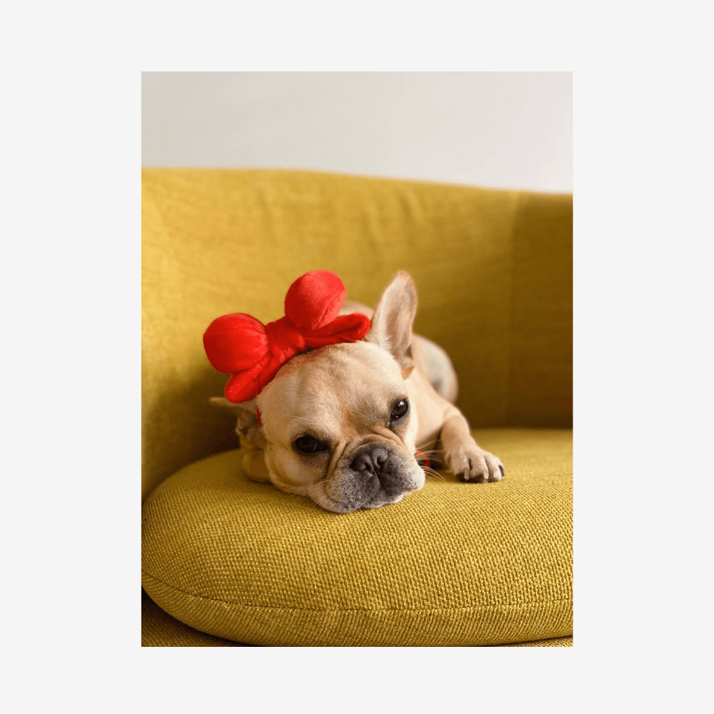 Ribbon Party Hat and Toy (2 in 1!) Toy Bite Me