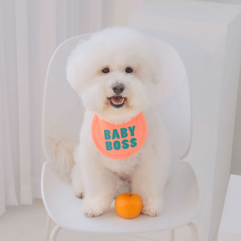 Baby Boss Bib Bandana Hey Jerry