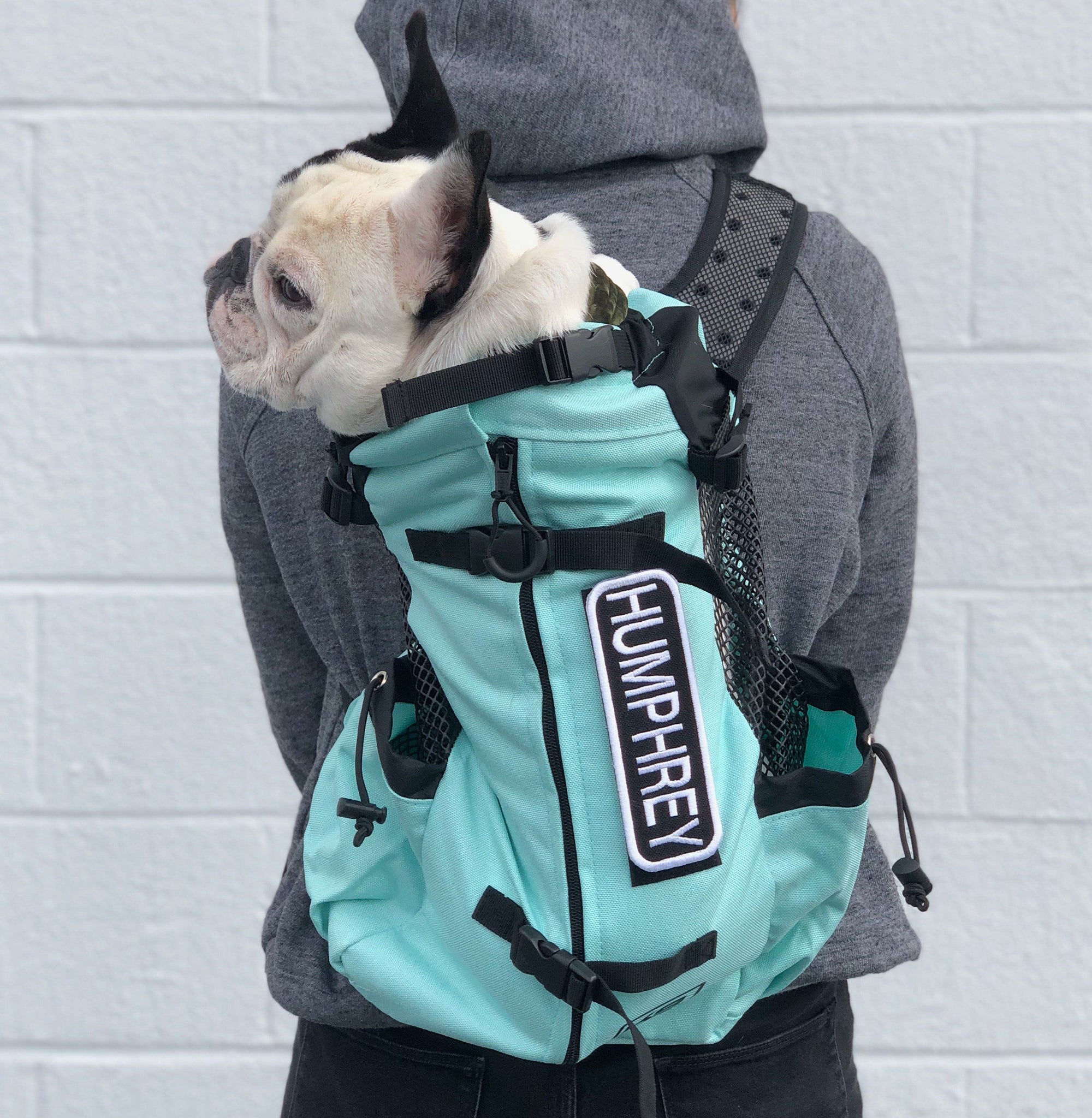 Pug backpack outlet carrier