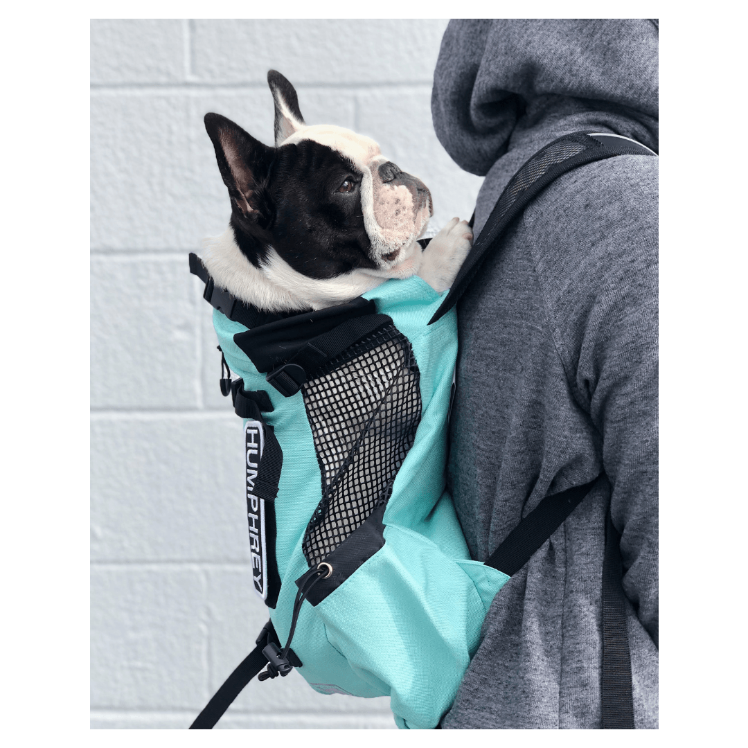 K9 Sport Sack Air 2 Dog Carrier Backpack Black Spotted By Humphrey
