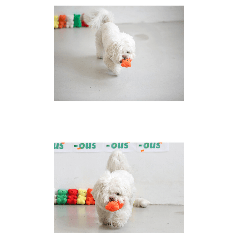 Gummy Bear Dog Toy (5 Colors!) Toy Bite Me