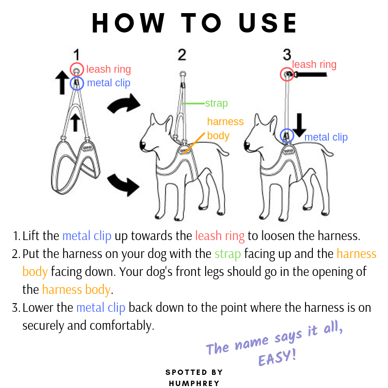 Adjustable Easy Harness - Red Harness Charlie's Backyard
