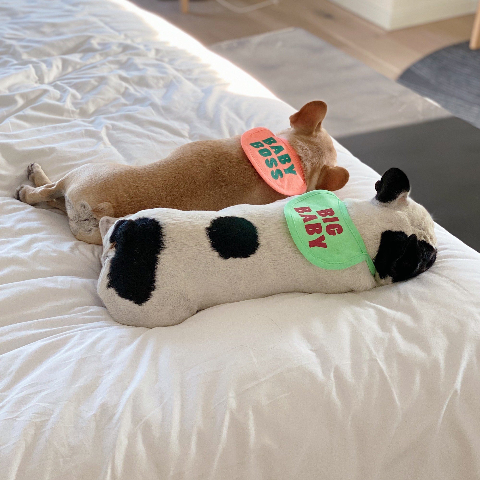 Big Baby Bib Bandana Hey Jerry