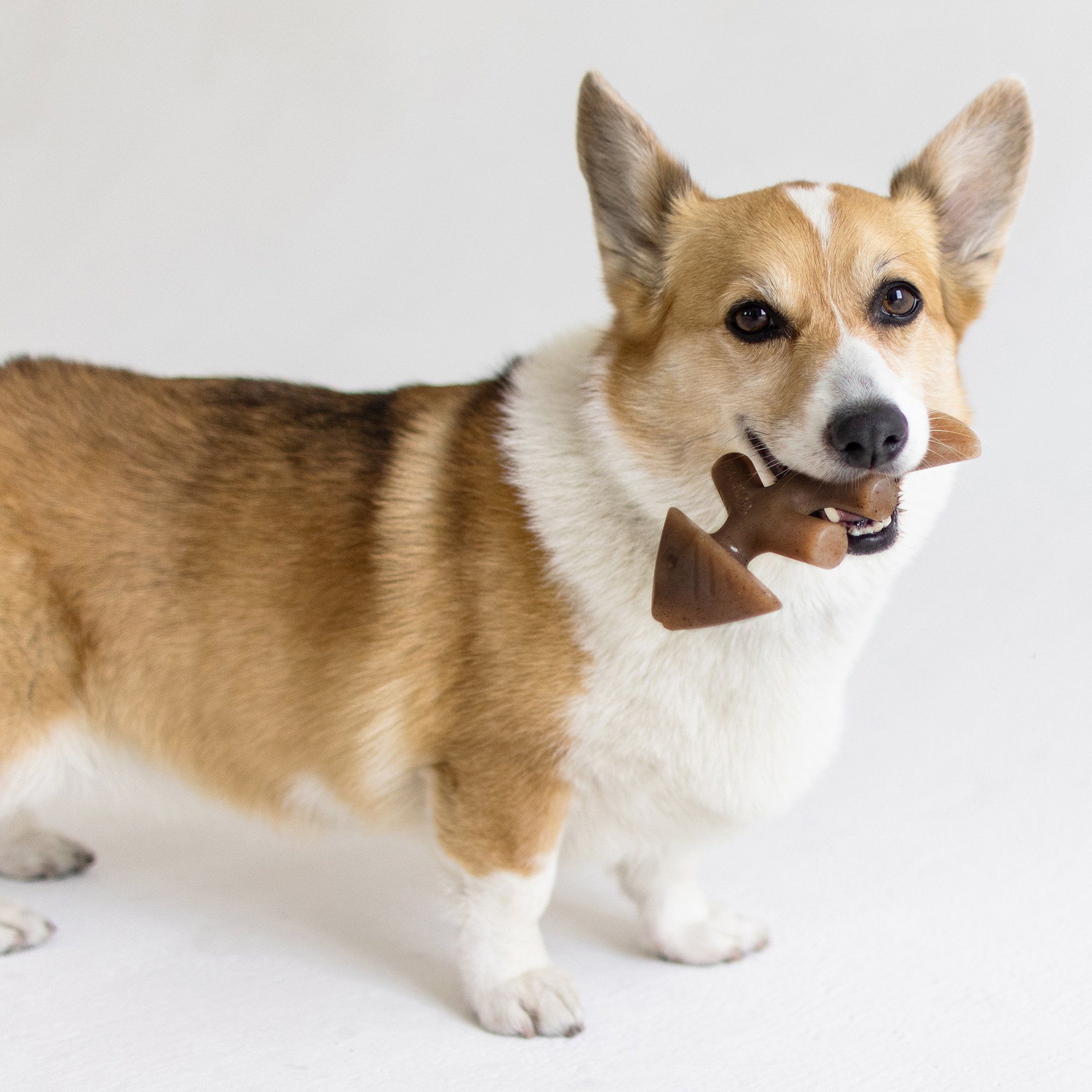 Benebone Jack Salmon Fishbone Real Fish Flavored Dog Chew Toy Toy Benebone