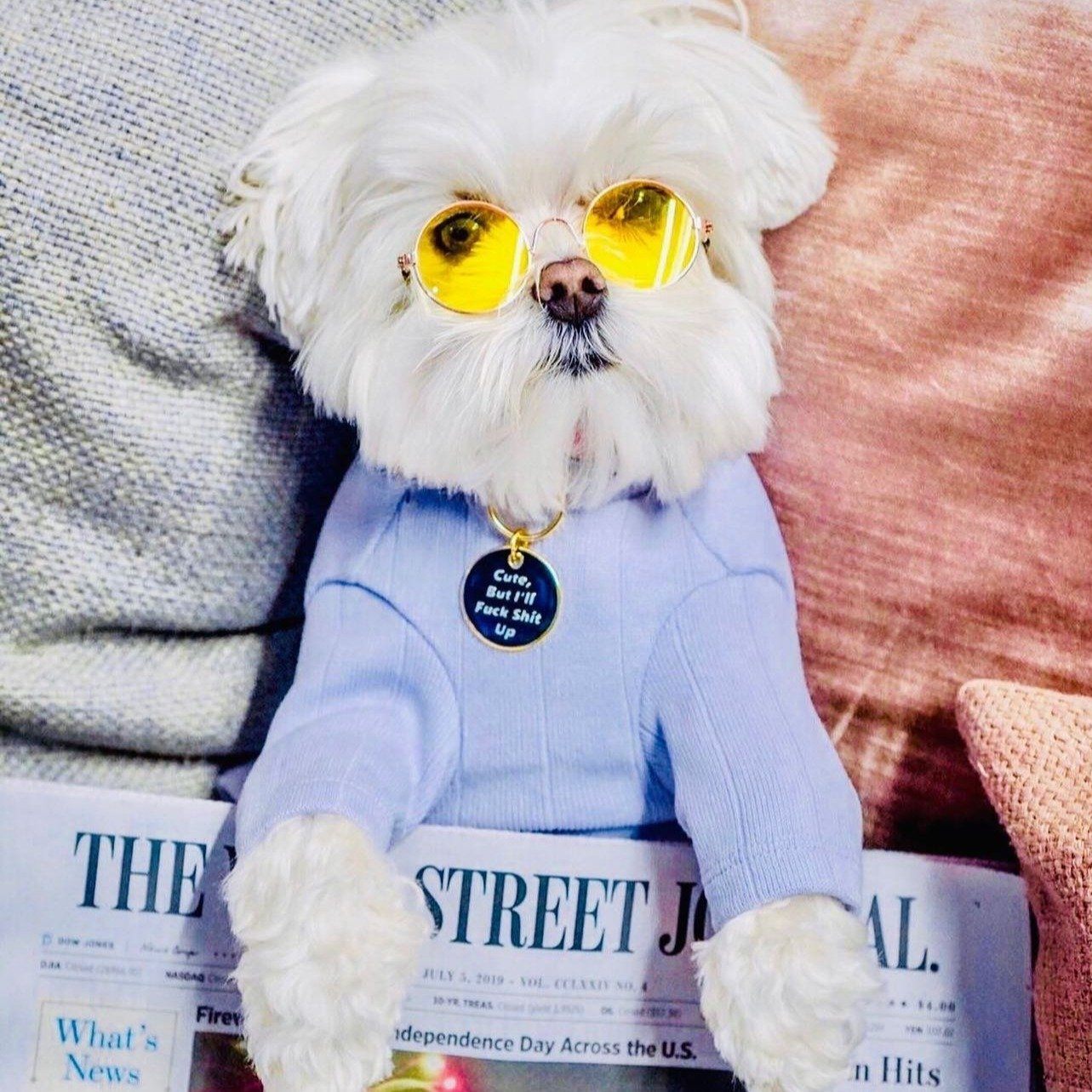 Cute, But I'll F#ck Sh%t Up ID Tag (Free Custom Engraving!) Charms Trill Paws