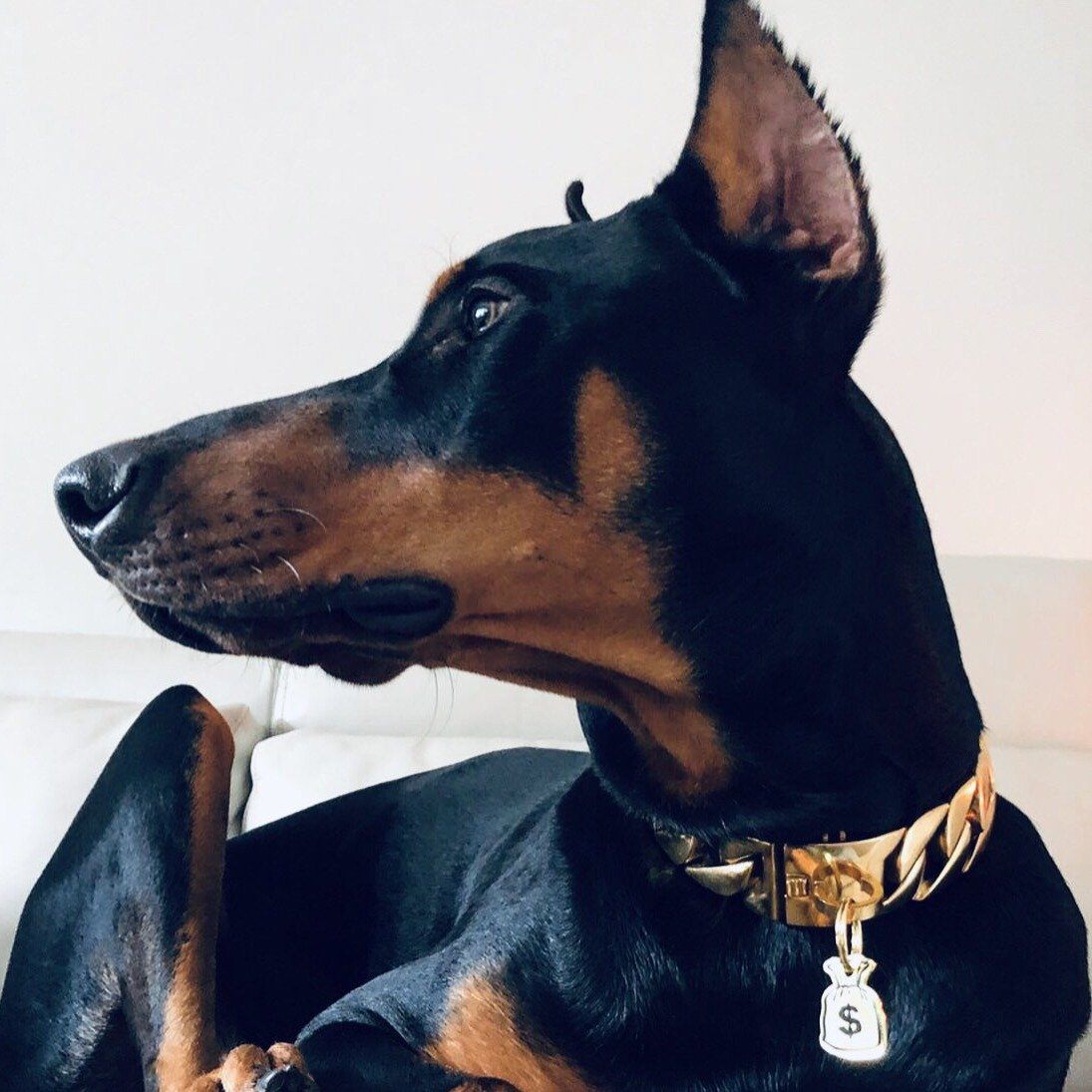 Money Bag ID Tag (Free Custom Engraving!) Charms Trill Paws