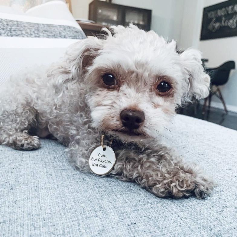 Cute but Psycho ID Tag (Free Custom Engraving!) Charms Trill Paws