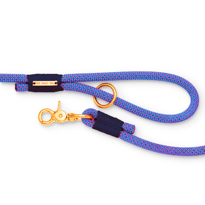 Neon Tetra Climbing Rope Dog Leash Leash The Foggy Dog