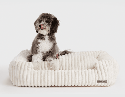 Jax and bones sales dog bed sale