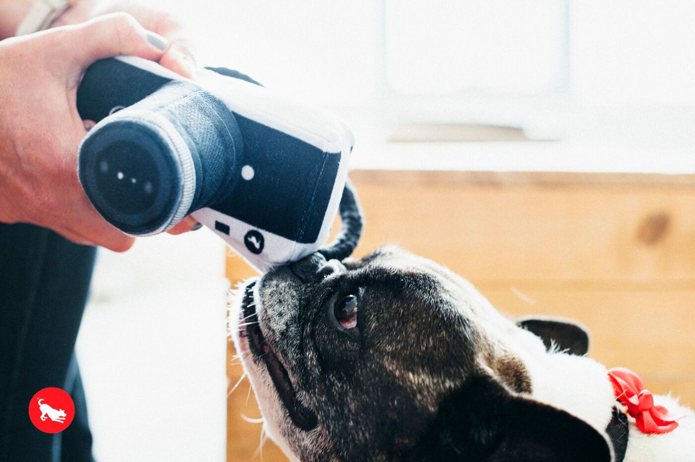 Lens Licker Camera Toy Toy P.L.A.Y.