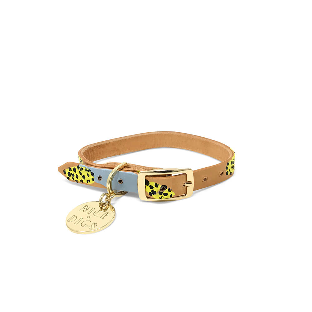 Tumble Weed Dog Collar - Yellow Collar Nice Digs