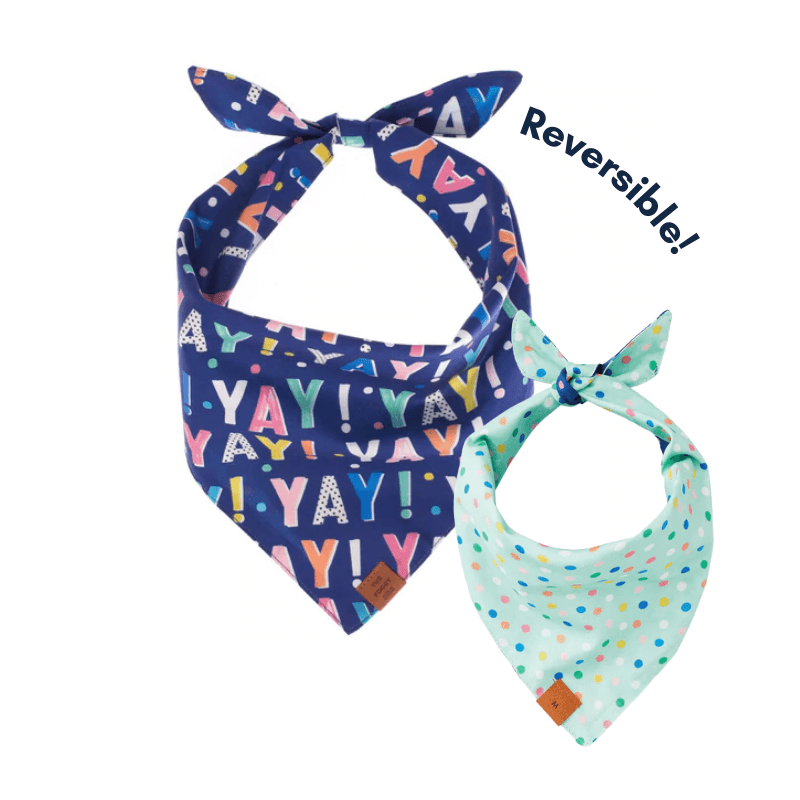 Birthday Yay Navy Dog Bandana (Reversible) Bandana The Foggy Dog