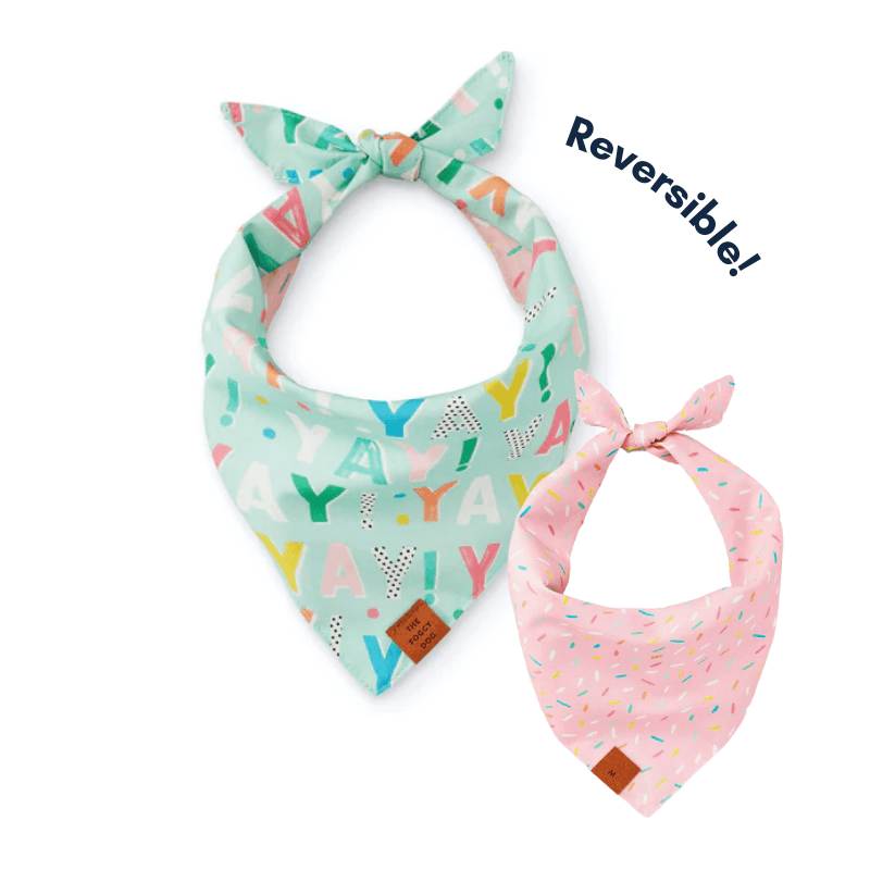 Birthday Yay Aqua Dog Bandana (Reversible) Bandana The Foggy Dog