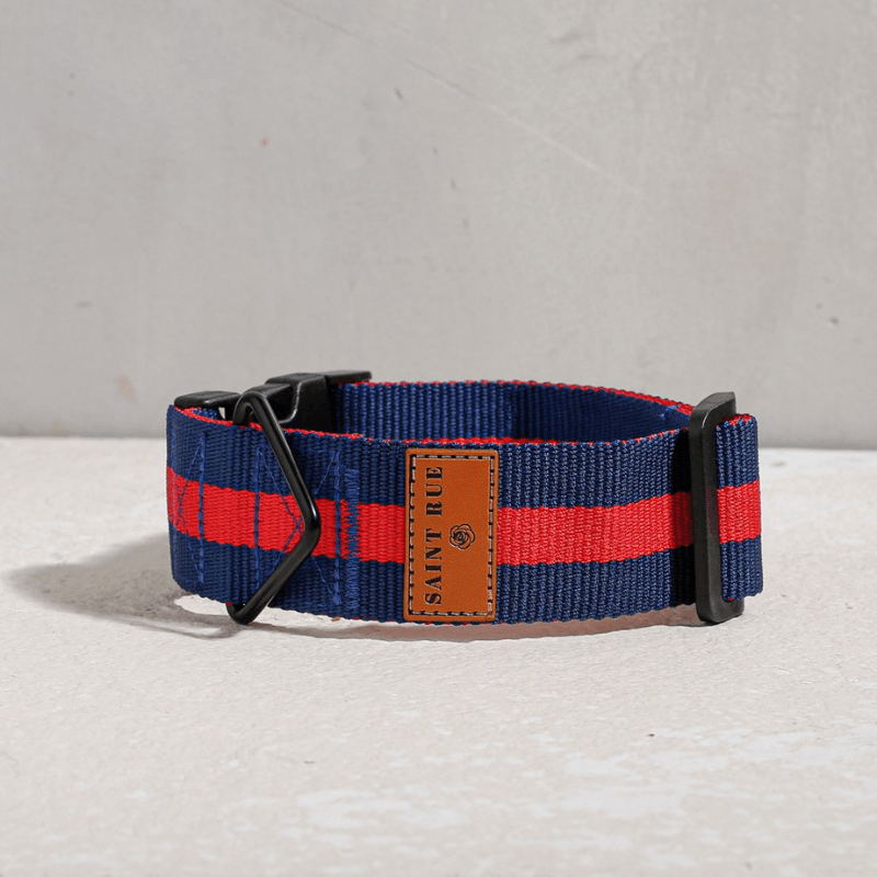 The City Collar - Rue St Honore Collar Saint Rue