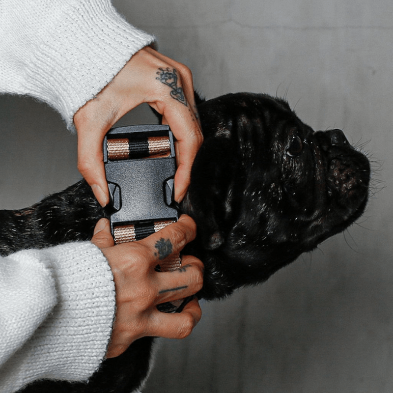 The City Collar - Rue St Honore Collar Saint Rue