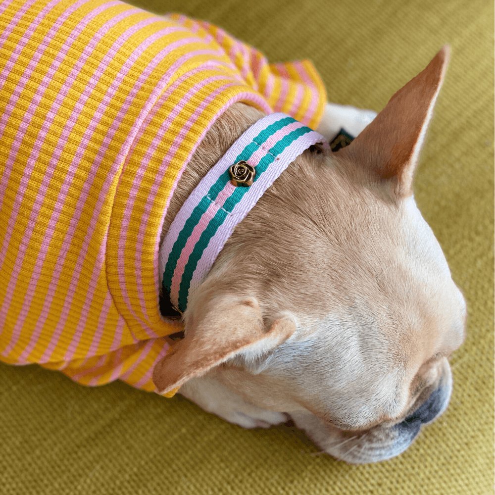 Le Classic Collar - Rue La Rose Collar Saint Rue