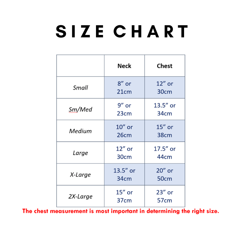 Waffle Crop Tee - Sky Blue Clothing Dentists Appointment