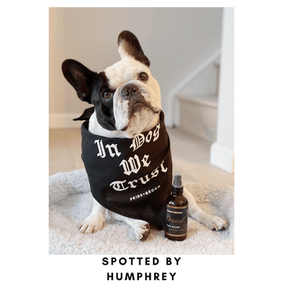 Proud the Scent - Deodorizer for Dogs Grooming Pride + Groom