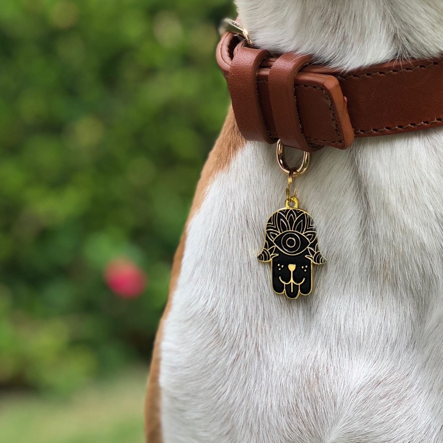 Custom pet charms online