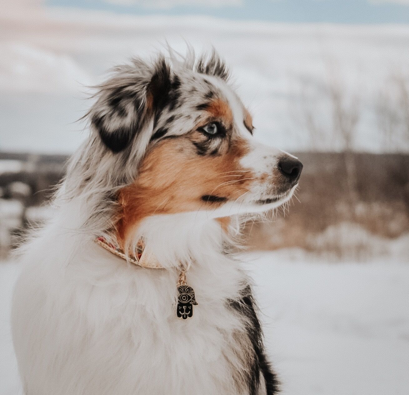 Black Dog Hamsa Enamel Charm / ID Tag (Free Custom Engraving) Charms Two Tails