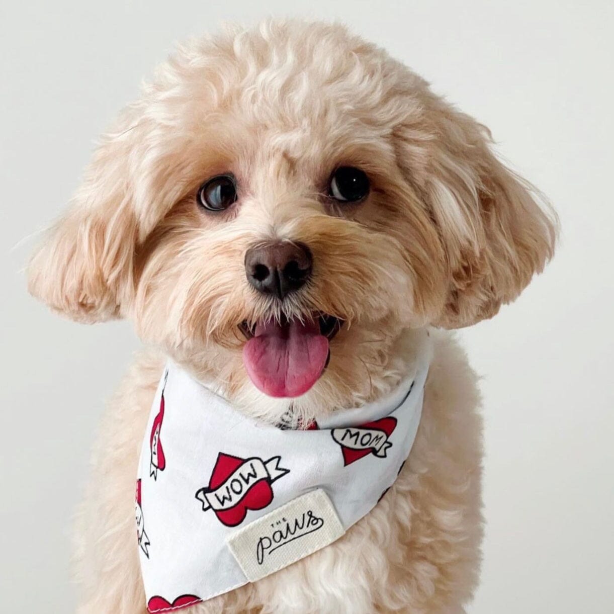 I Love Mom Heart Dog Bandana Bandana The Paws