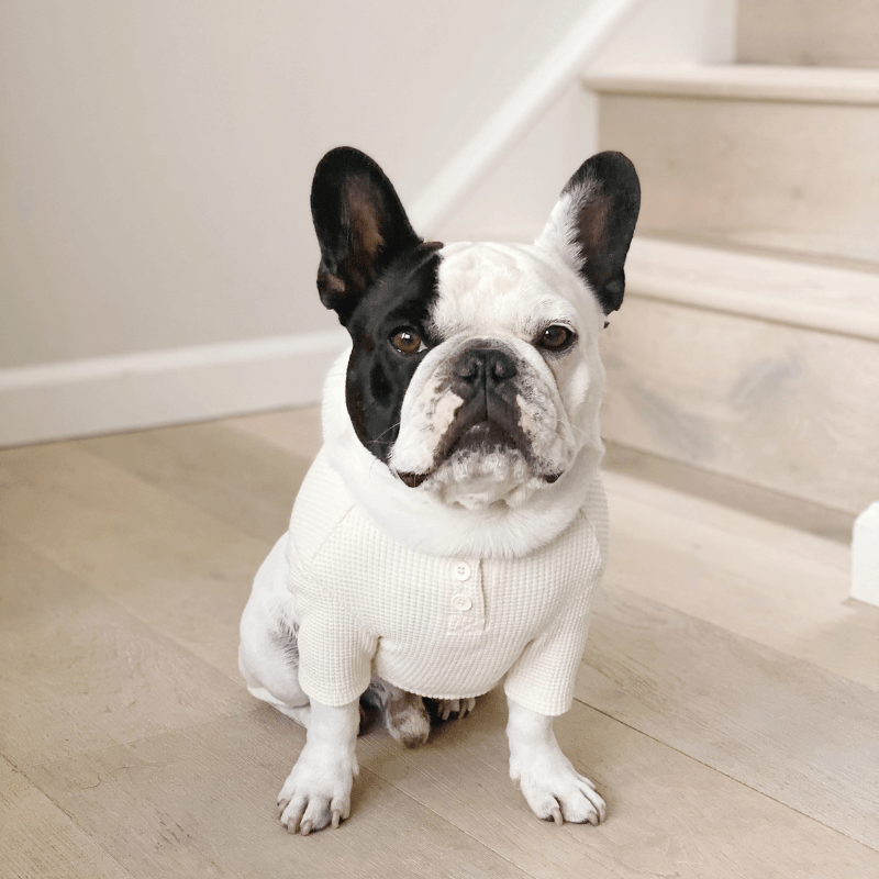 Waffle Crop Tee - Light Pink Clothing Dentists Appointment