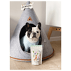 Modern Gray Nooee Buddy Pet Cave - Size Large (Ships Free!) Bed Nooee