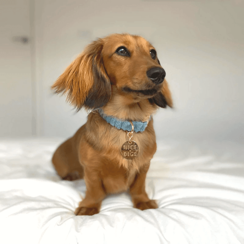 Nice collar clearance