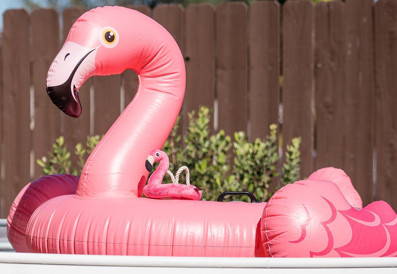 Tropical Paradise Flamingo Float Dog Toy - Spotted By Humphrey