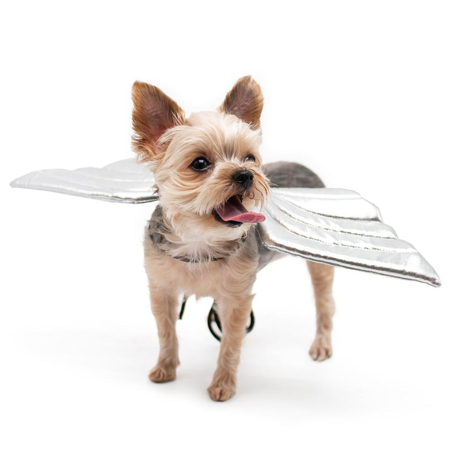 Angel Wings Dog Costume Accessories Dogo 