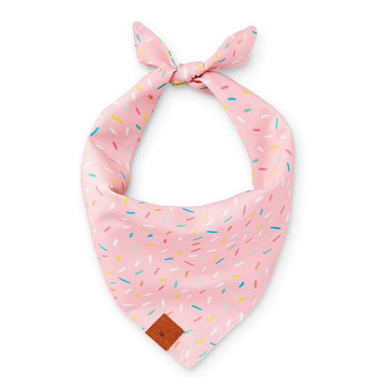 Birthday Yay Aqua Dog Bandana (Reversible) Bandana The Foggy Dog