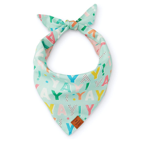 Birthday Yay Aqua Dog Bandana (Reversible) Bandana The Foggy Dog