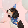Birthday Yay Navy Dog Bandana (Reversible) Bandana The Foggy Dog