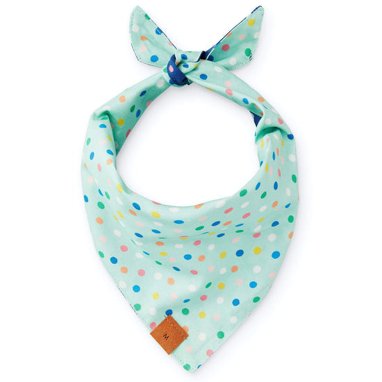 Birthday Yay Navy Dog Bandana (Reversible) Bandana The Foggy Dog