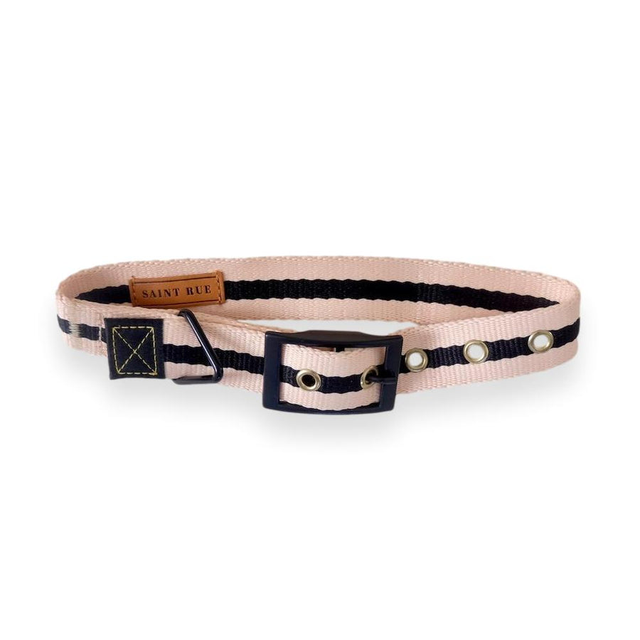 Saint laurent best sale dog collar