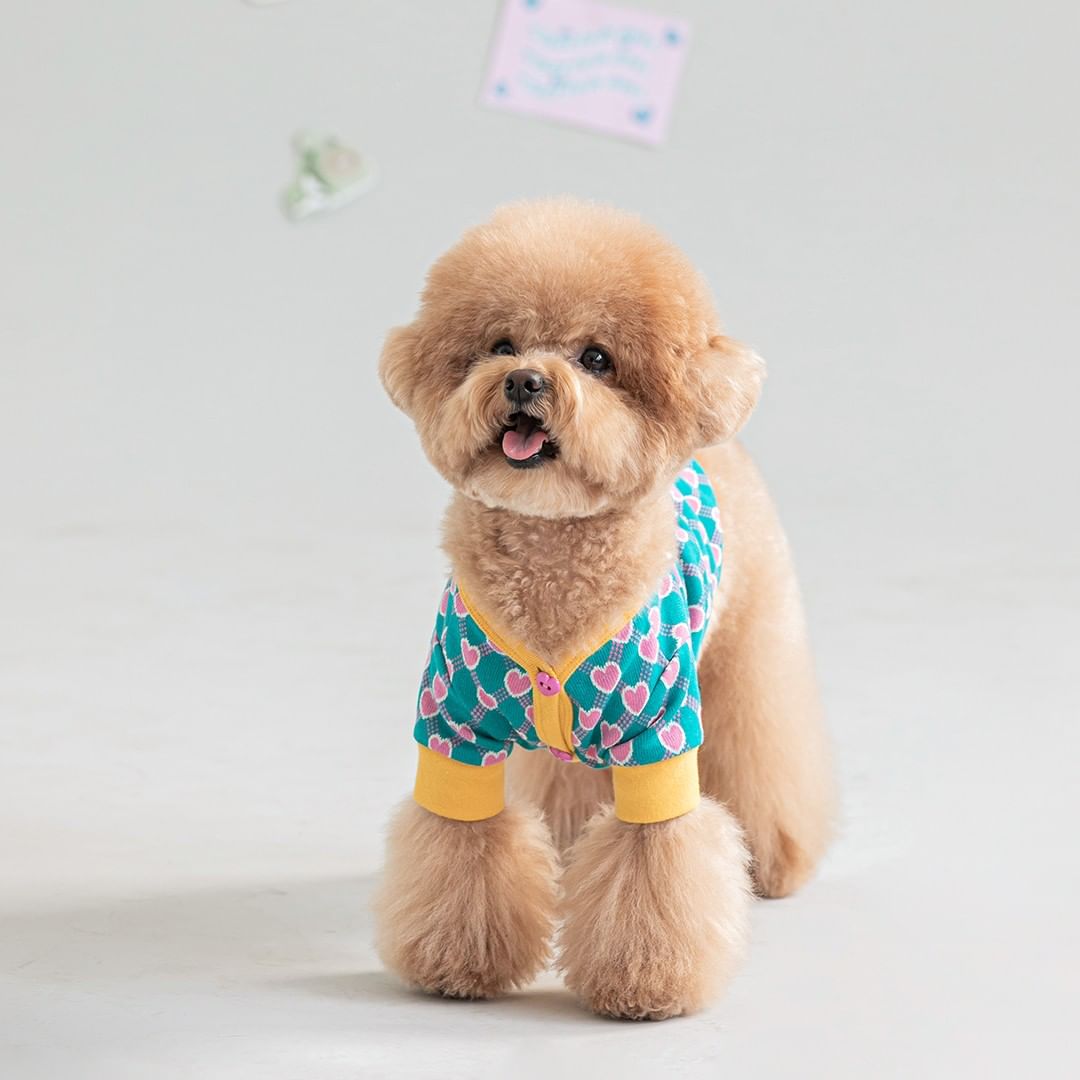 Preppy Hearts Cardigan - Peacock Green Clothing Bite Me