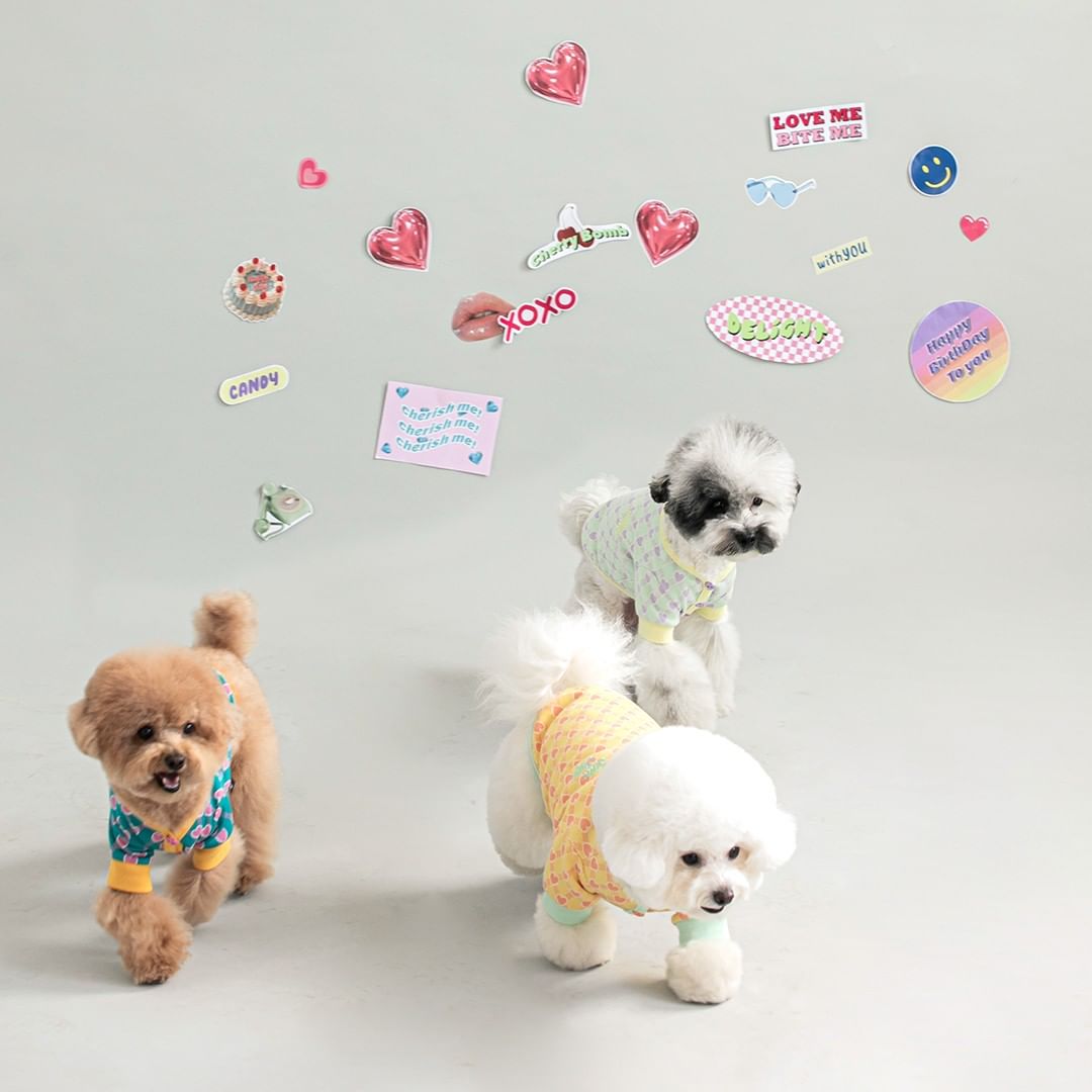 Preppy Hearts Cardigan - Mint Toy Bite Me